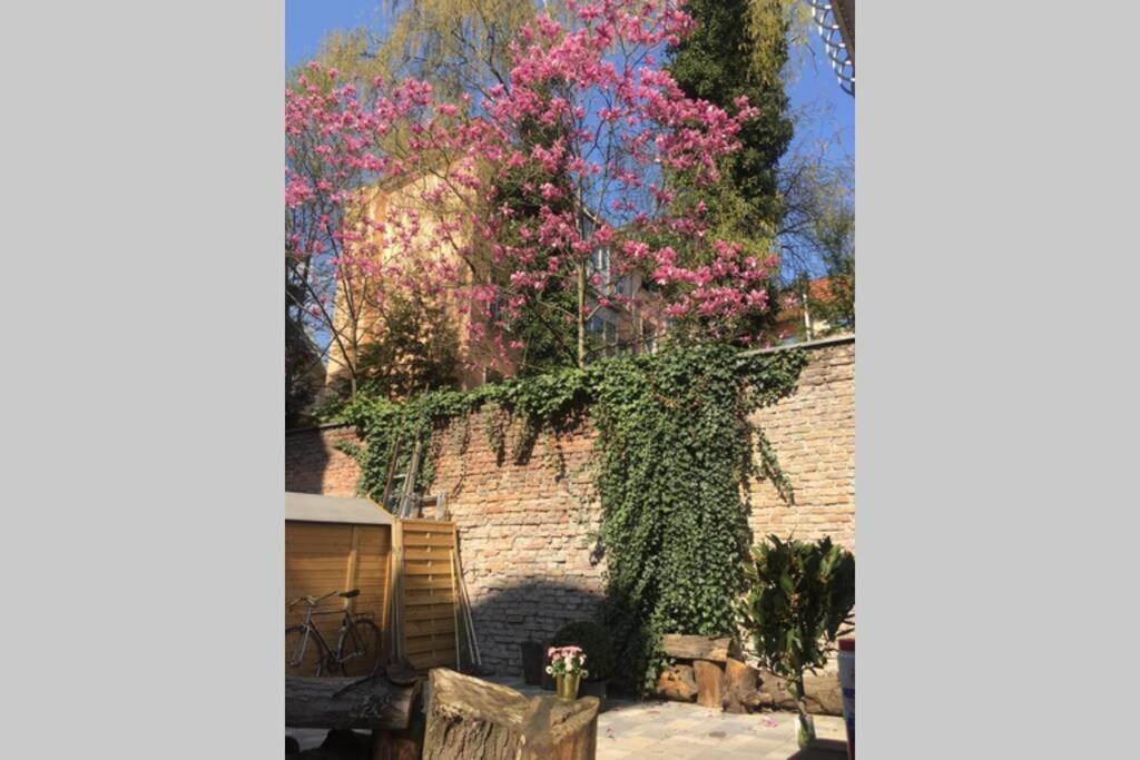 Beautiful Backyard Remise Appartement
